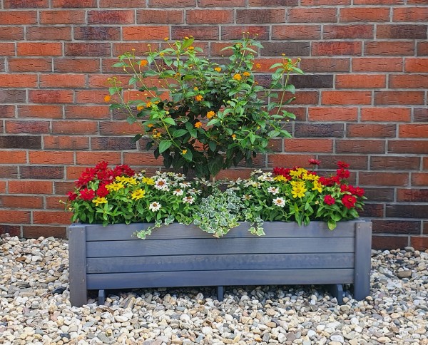 Pflanzkasten "Mariella II", Gartenblumenkasten, grau, wetterfest, 78 x 38 x 34 cm, Blumenkasten