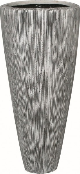 Vase Ray